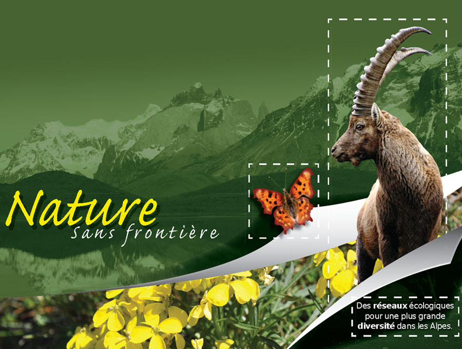 Affiche Expo Nature