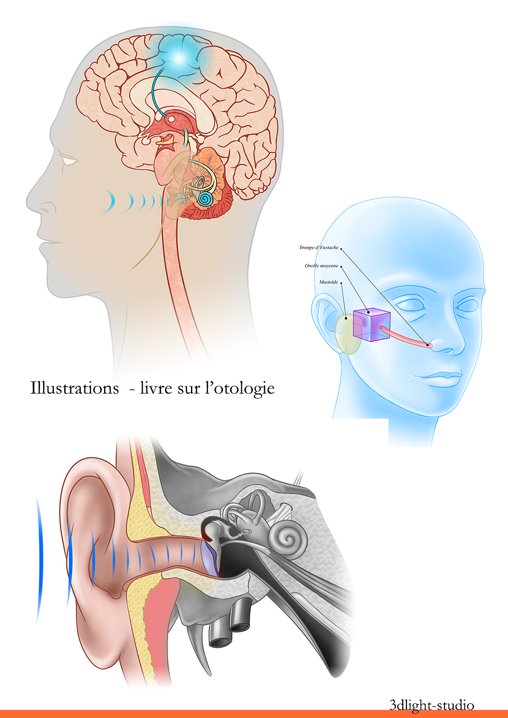 Illustrations médicales
