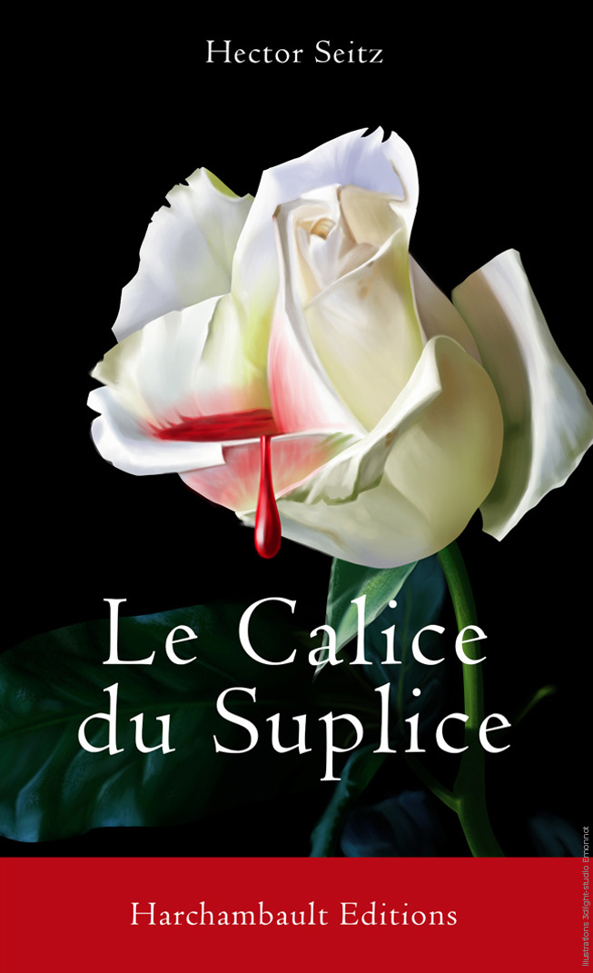 Couverture de livre 2