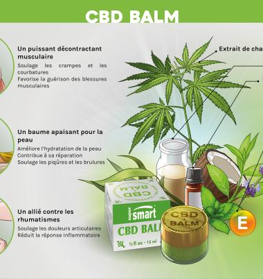 Brochure Commerciale