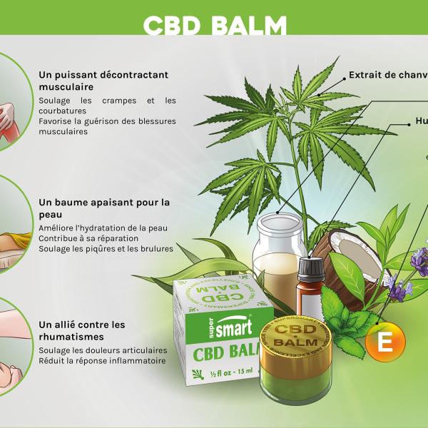 Brochure Commerciale