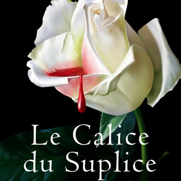 Couverture de livre 2