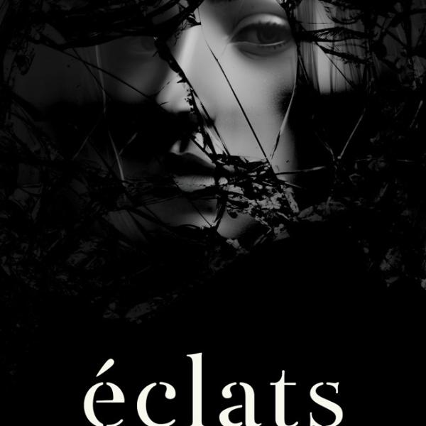 Couverture de livre 3