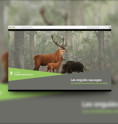 Film pédagogique INRAE